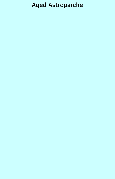 Text Box: Aged Astroparche
