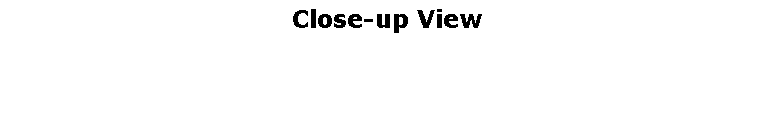Text Box: Close-up View