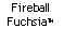 Text Box: Fireball FuchsiaTM