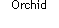 Text Box: Orchid